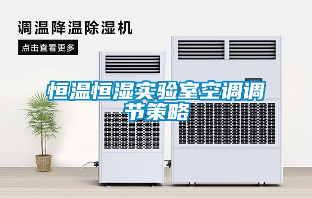恒溫恒濕實(shí)驗室空調調節策略