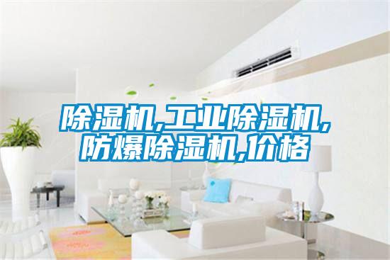 除濕機,工業(yè)除濕機,防爆除濕機,價(jià)格