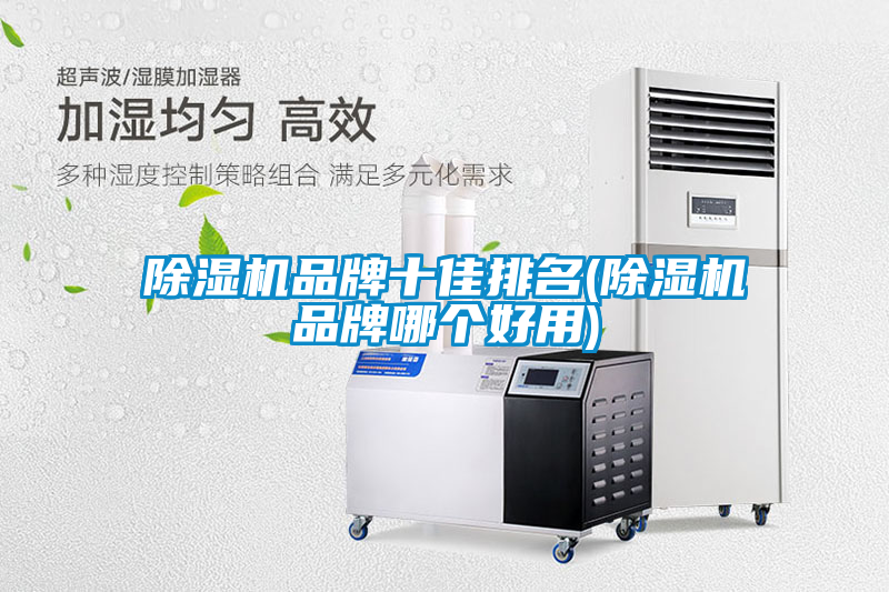 除濕機品牌十佳排名(除濕機品牌哪個(gè)好用)