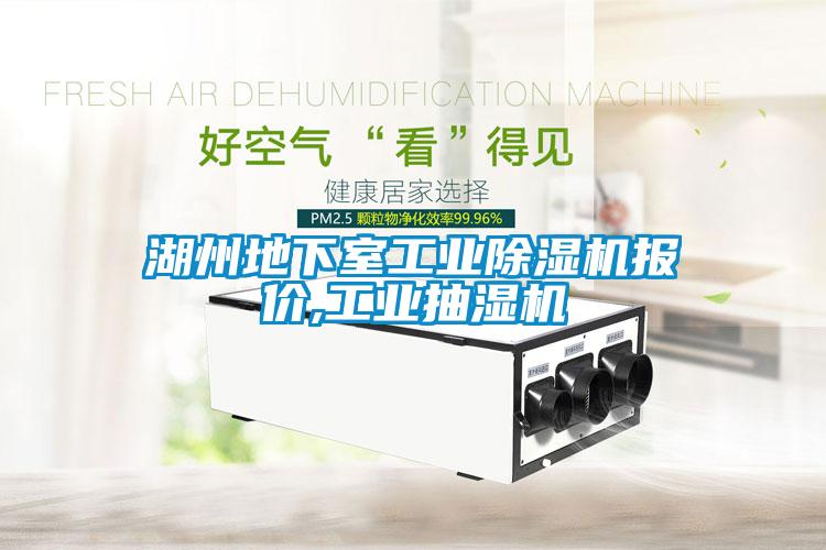 湖州地下室工業(yè)除濕機報價(jià),工業(yè)抽濕機