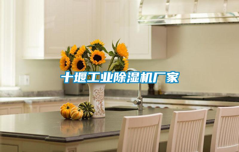 十堰工業(yè)除濕機廠(chǎng)家