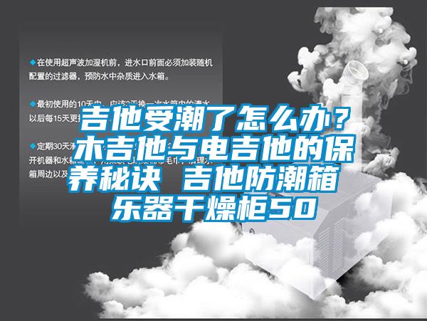 吉他受潮了怎么辦？木吉他與電吉他的保養秘訣 吉他防潮箱 樂(lè )器干燥柜50