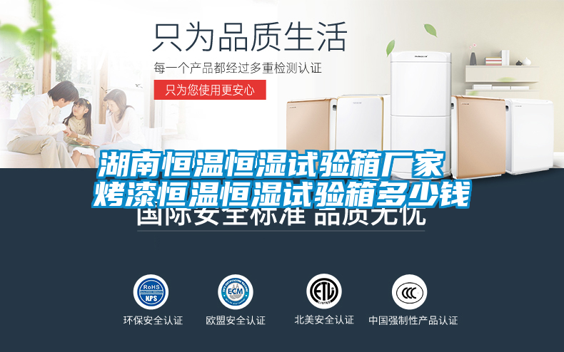 湖南恒溫恒濕試驗箱廠(chǎng)家 烤漆恒溫恒濕試驗箱多少錢(qián)