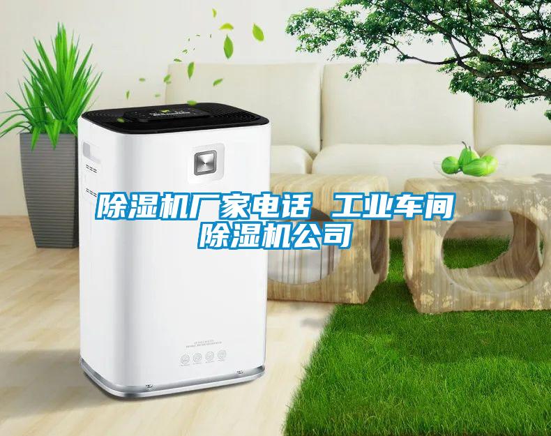 除濕機廠(chǎng)家電話(huà) 工業(yè)車(chē)間除濕機公司