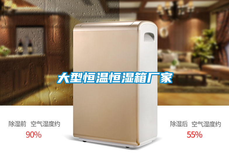 大型恒溫恒濕箱廠(chǎng)家
