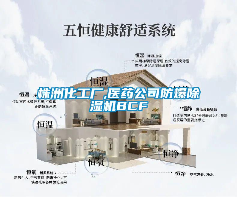 株洲化工廠(chǎng),醫藥公司防爆除濕機BCF