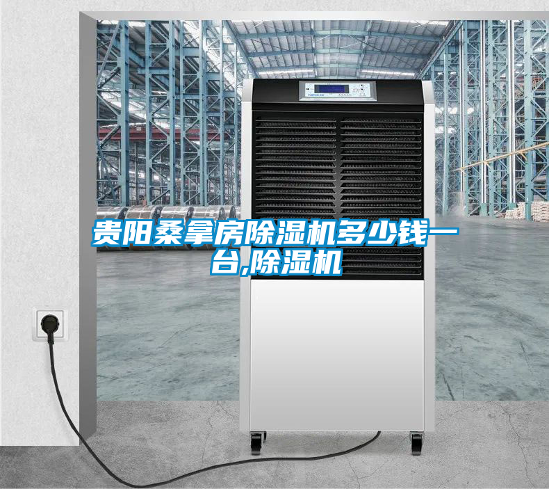 貴陽(yáng)桑拿房除濕機多少錢(qián)一臺,除濕機