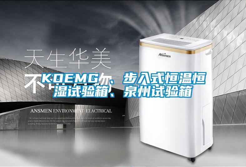 KOEMG 、步入式恒溫恒濕試驗箱、泉州試驗箱