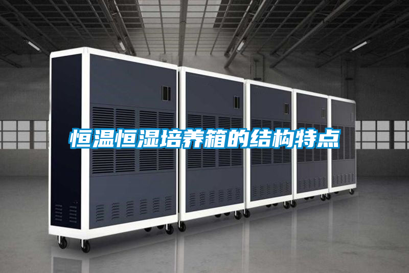 恒溫恒濕培養箱的結構特點(diǎn)