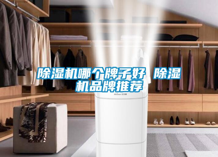 除濕機哪個(gè)牌子好 除濕機品牌推薦