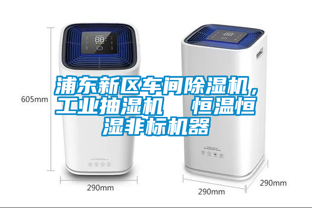 浦東新區車(chē)間除濕機，工業(yè)抽濕機  恒溫恒濕非標機器