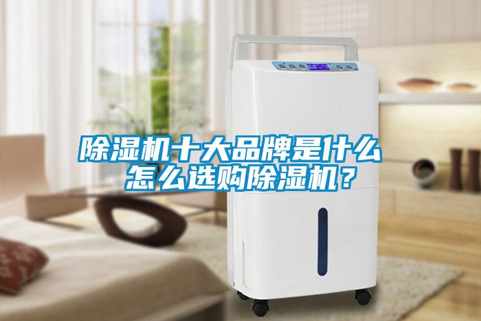 除濕機十大品牌是什么 怎么選購除濕機？