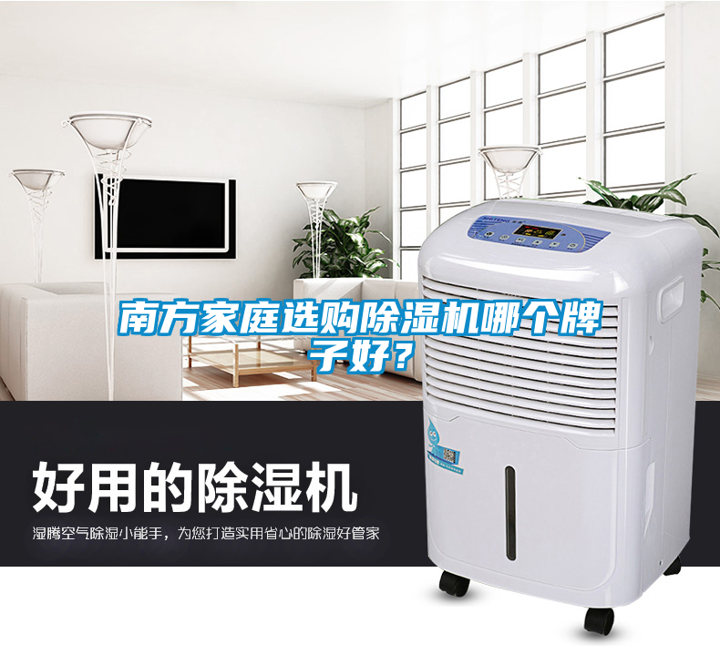 南方家庭選購除濕機哪個(gè)牌子好？