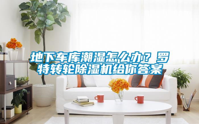 地下車(chē)庫潮濕怎么辦？羅特轉輪除濕機給你答案