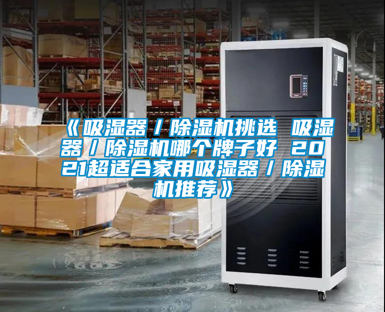 《吸濕器／除濕機挑選 吸濕器／除濕機哪個(gè)牌子好 2021超適合家用吸濕器／除濕機推薦》