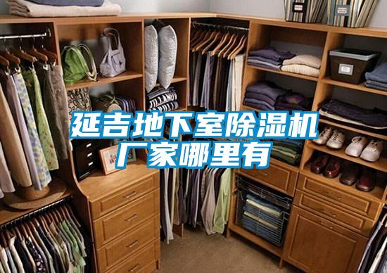 延吉地下室除濕機廠(chǎng)家哪里有
