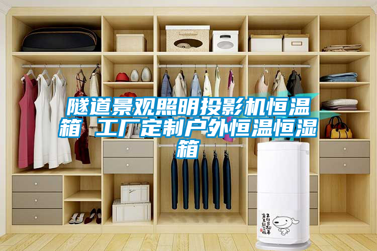 隧道景觀(guān)照明投影機恒溫箱 工廠(chǎng)定制戶(hù)外恒溫恒濕箱