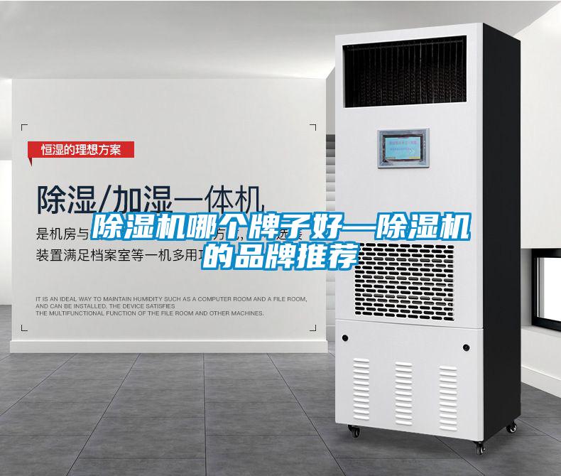除濕機哪個(gè)牌子好—除濕機的品牌推薦