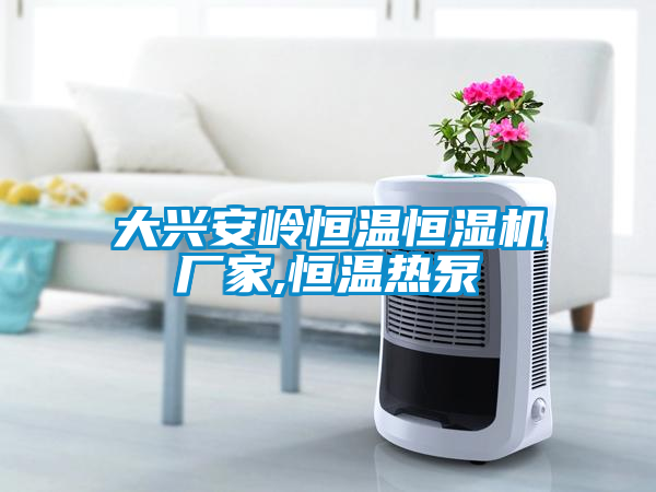 大興安嶺恒溫恒濕機廠(chǎng)家,恒溫熱泵