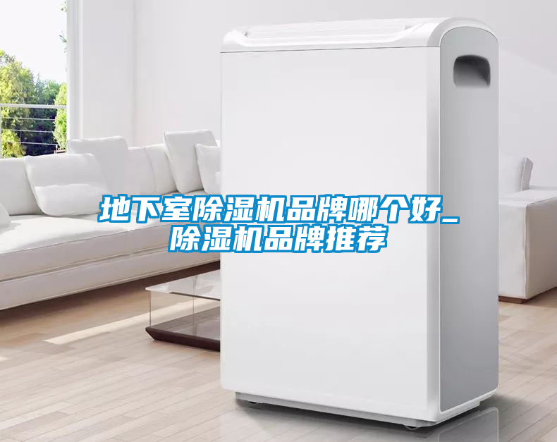 地下室除濕機品牌哪個(gè)好_除濕機品牌推薦
