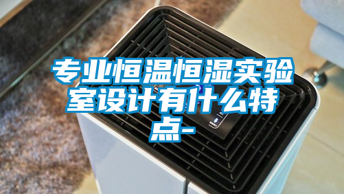 專(zhuān)業(yè)恒溫恒濕實(shí)驗室設計有什么特點(diǎn)-