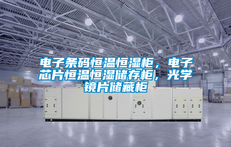 電子條碼恒溫恒濕柜，電子芯片恒溫恒濕儲存柜，光學(xué)鏡片儲藏柜