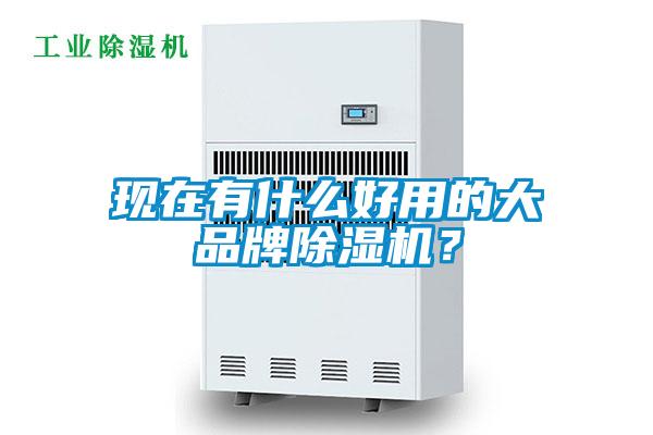 現在有什么好用的大品牌除濕機？