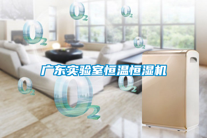 廣東實(shí)驗室恒溫恒濕機