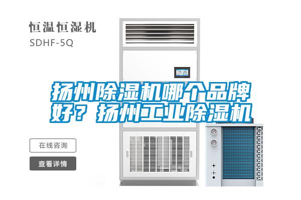 揚州除濕機哪個品牌好？揚州工業除濕機