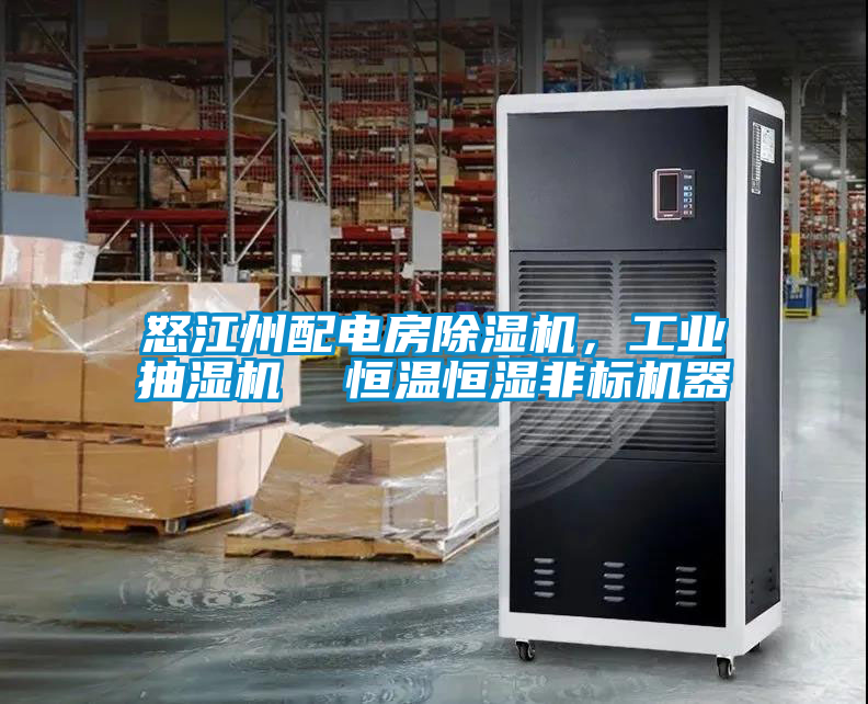 怒江州配電房除濕機，工業(yè)抽濕機  恒溫恒濕非標機器