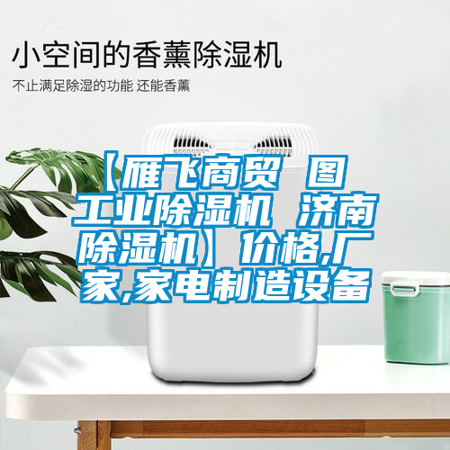 【雁飛商貿 圖  工業(yè)除濕機 濟南除濕機】?jì)r(jià)格,廠(chǎng)家,家電制造設備