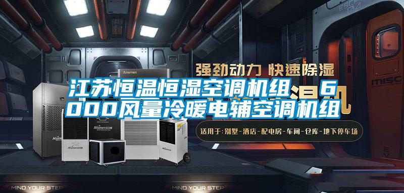 江蘇恒溫恒濕空調機組  6000風(fēng)量冷暖電輔空調機組