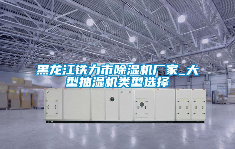 黑龍江鐵力市除濕機廠(chǎng)家_大型抽濕機類(lèi)型選擇