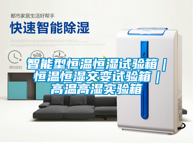 智能型恒溫恒濕試驗箱｜恒溫恒濕交變試驗箱｜高溫高濕實(shí)驗箱