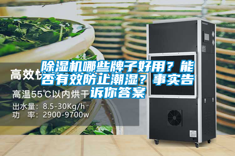 除濕機哪些牌子好用？能否有效防止潮濕？事實(shí)告訴你答案