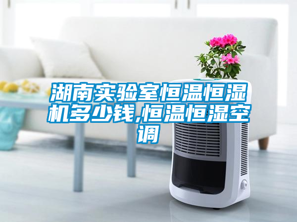 湖南實(shí)驗室恒溫恒濕機多少錢(qián),恒溫恒濕空調