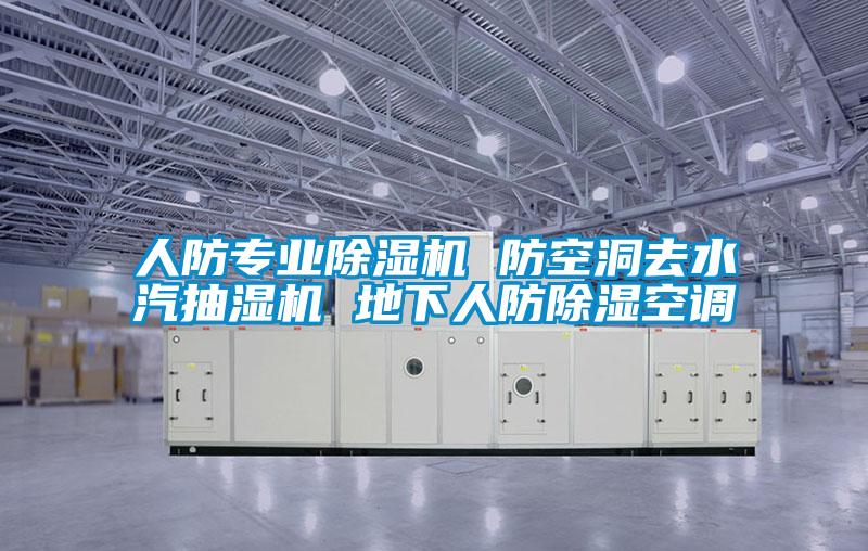 人防專(zhuān)業(yè)除濕機 防空洞去水汽抽濕機 地下人防除濕空調