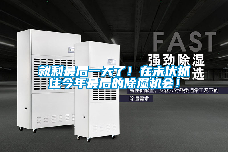 就剩最后一天了！在末伏抓住今年最后的除濕機會(huì )！