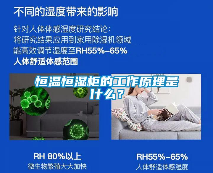 恒溫恒濕柜的工作原理是什么？