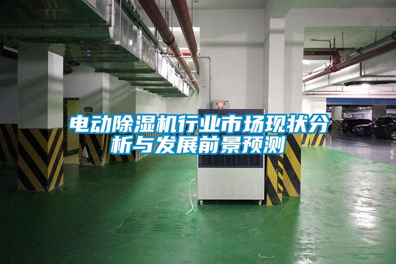 電動(dòng)除濕機行業(yè)市場(chǎng)現狀分析與發(fā)展前景預測
