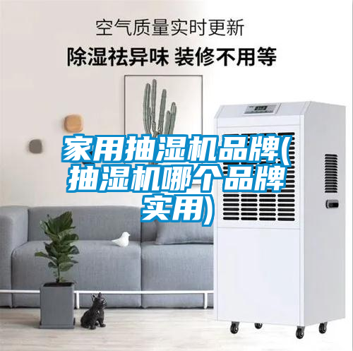 家用抽濕機品牌(抽濕機哪個(gè)品牌實(shí)用)