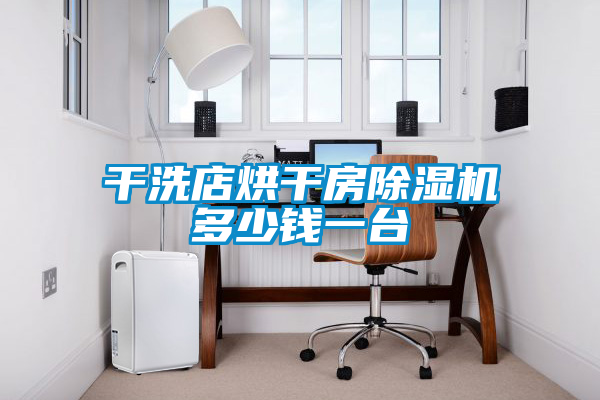 干洗店烘干房除濕機多少錢(qián)一臺