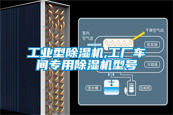 工業(yè)型除濕機,工廠(chǎng)車(chē)間專(zhuān)用除濕機型號