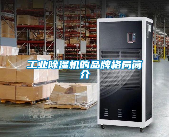工業(yè)除濕機的品牌格局簡(jiǎn)介