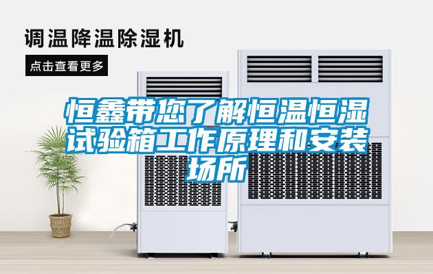 恒鑫帶您了解恒溫恒濕試驗箱工作原理和安裝場(chǎng)所