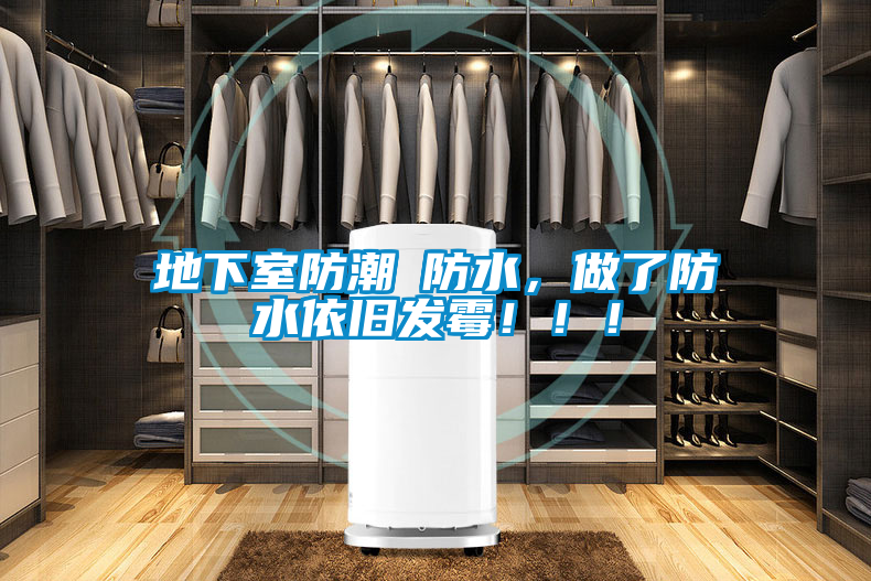 地下室防潮≠防水，做了防水依舊發(fā)霉?。?！
