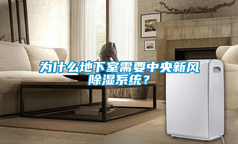 為什么地下室需要中央新風(fēng)除濕系統？
