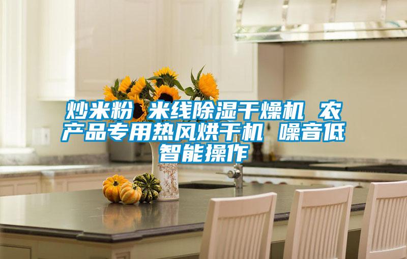 炒米粉 米線(xiàn)除濕干燥機 農產(chǎn)品專(zhuān)用熱風(fēng)烘干機 噪音低智能操作