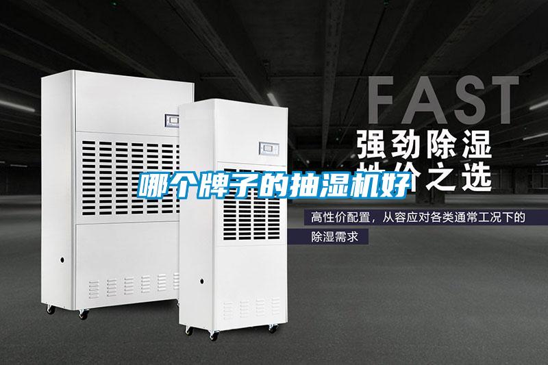 哪個(gè)牌子的抽濕機好