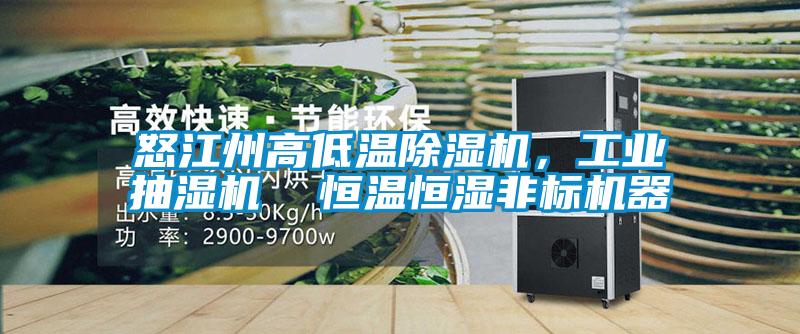 怒江州高低溫除濕機，工業(yè)抽濕機  恒溫恒濕非標機器